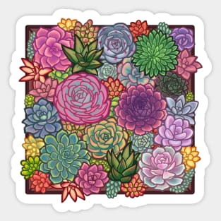 Succulent Garden 1 Sticker